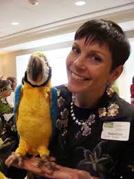 Crowd flocks to birdhouse auction to feather Project Return's nest