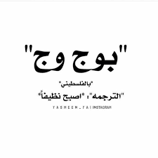 In most arabic countries, you can say jameel (جميل) to refer to a male, and jameela to refer to a woman. Ø¨ÙŠÙ„Ù…Ø¹ Ù„Ù…Ø¹ Ø¨ÙŠØ¶ÙˆÙŠ Ø¶ÙˆÙŠ Ø¨Ø§Ù„Ø®Ù„ÙŠÙ„ Palestine Quotes Funny Arabic Quotes Beautiful Arabic Words