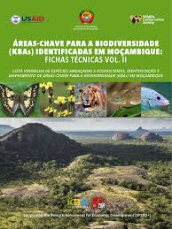 Image result for Stylochaeton tortispathus