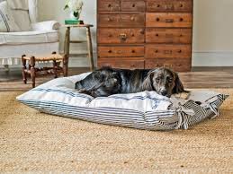 One of the easiest ways to keep a house clean with pets is to make sure your dog is cleaned and groomed on the regular. Cleaning House With Pets Diy