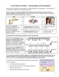 Dna transcription and translation practice worksheet with key tpt. From Gene To Protein Transcription And Translation Serendip