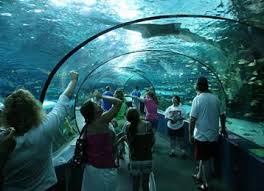 Myrtle Beach Attractions Offer Fun And Exciting Things To Do When You Aren T On The Beach Myrtle Beach Things To Do Myrtle Beach Attractions Myrtle Beach Trip