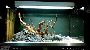Hardscape Zoogrande Fish Aquarium Decorations Aquascape Aquarium Aquarium Fish Tank