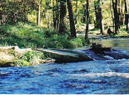 Check spelling or type a new query. Beavers Bend State Park An Oklahoma State Park Located Near Broken Bow