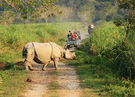 Image result for nagaland images