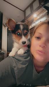 Training school for my babygirl, any leads?