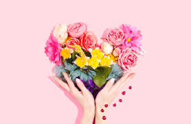 Du möchtest dir selbst oder jemand anderem mit einem schönen spruch über dankbarkeit zeigen, wie wichtig es ist, dankbar zu sein? Blumen Und Ihre Bedeutungen Dafur Steht Jede Pflanze