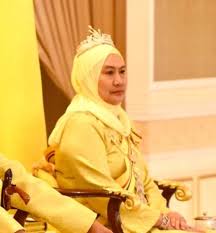 Syafiq kyle, usop wilca, nur risteena, che kem, khatijah tan, indera hafiz, bodt sharade, ym tunku tiara yasmin sofia akibat mempunyai wajah yang seiras dengan ketua gangster yang bernama haikal. Tiara Mania Tiara Alert Queen Tunku Ampuan Besar Aishah