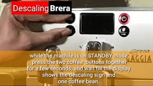 Is coffee machine descaler the same as other descalers? Gaggia Repairs