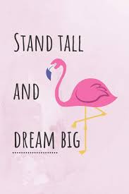 Flamboyant, imperious, and apocalyptic, he carried the plumage of a flamingo, could not acknowledge errors, and tried to. Stand Tall And Dream Big Motivational Quote For Flamingo Lovers Cute Bird Design Lined Notebook 120 Pages Journals Wild 9781074985035 Amazon Com Books