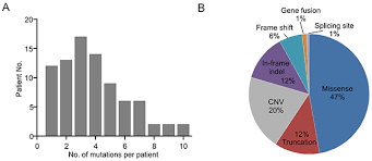 Mutational profiling of non-small-cell lung cancer patients resistant to  first-generation EGFR tyrosine kinase inhibitors using next generation  sequencing