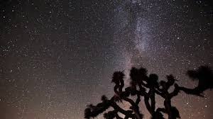 Wählen sie aus einer vielzahl ähnlicher szenen aus. Timelapse Video Of The Perseid Meteor Shower As Seen From Beneath The Joshua Tree Tourism On The Edge