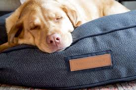 Check out our designer dog bed selection for the very best in unique or custom, handmade pieces from our pet beds & cots shops. Pet Supplies Pet Furniture Round Bed In Navy Newfie Designer Dog Bed For Small To X Large Dogs Herringbone Navy Pet Bed Durable Sunbrella Fabric