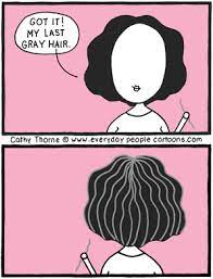 Gray Hair Cartoon Hair Quotes Funny Grey Hair Hair Humor