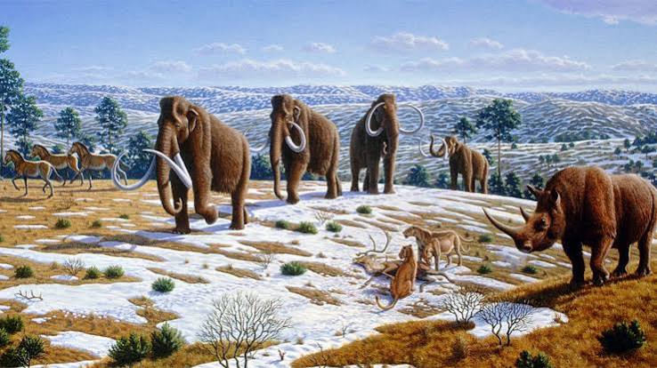 Bringing extinct species back from the dead could hurt—not  help—conservation efforts | Science | AAAS