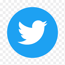 We all have eye familiarity with the twitter logo ie bird icon. Twitter Png Images Pngegg