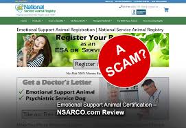 We did not find results for: Emotional Support Animal Certification Nsarco Com Review