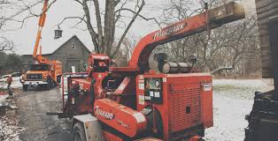 Texas tree surgeons has its roots in mckinney. Revell Tree Service And Tree Removal Serving New England Since 1984 For A Free Estimate Call 508 400 0459