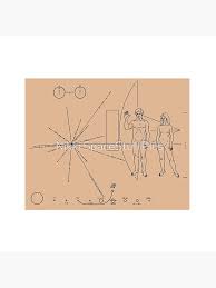Image result for pioneer plaque