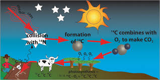 Radiocarbon dating compares the amount of radioactive carbon 14 in organic plants and animals to radiocarbon dating was invented in the 1950s by the american chemist willard f. Accuracy Vs Precision Understanding Potential Errors From Radiocarbon Dating On African Landscapes Springerlink