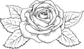 Rose tattoo for men designs, ideas and meaning. Drawing Rose Tattoo Designs For Men Drawing