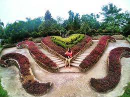 We did not find results for: 10 Foto The Le Hu Garden Medan Harga Tiket Masuk Jalan Menuju Lokasi Kabupaten Deli Serdang Sumatera Utara Jejakpiknik Com