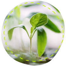 Nov 18, 2020 · adding 1/2 cup of baking soda for each 1/2 cup of bleach (being sure to add the bleach at the proper time) will help regulate the ph level in the water so bleach will work more effectively to reduce bacteria and loosen the soil. Nortembio Agro Organic Ph Reducer 5l Universal Use Descaler For Irrigation Systems Better Flavour And Aroma To Your Crops Amazon Co Uk Garden Outdoors