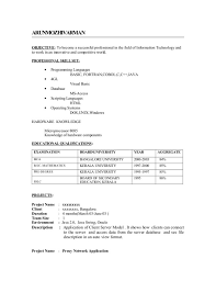 Download bsc it resume format for freshers. Cv Format Examples For Freshers
