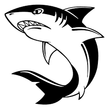 Black And White Cute Black And White Shark Clipart Shark Black And White Drawing Ourimgs Com The Hippest Galleries Shark Art Shark Drawing Animal Drawings
