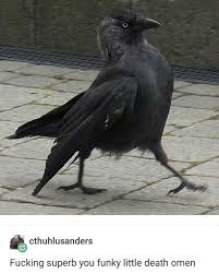 Pinterest Muffiimeybe Funny Textposts Tumblr Twitter Memes Hilarious True Mood Funny Animals Cute Animals Animals