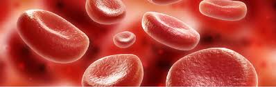 بخش هماتولوژی (hematology) آزمایشگاه تهران لب