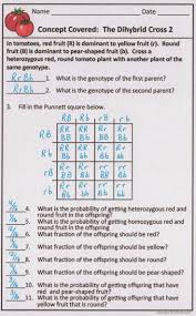 Pin On Biology