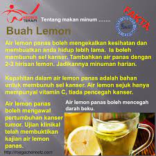 Minum air lemon panas boleh mengekalkan kesihatan dan membuatkan anda hidup dengan lebih lama. Khasiat Air Lemon Panas Wannura Terapi