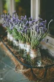 Window Box Lavender Architectural Details Container Gardening Lavender Plant Lovely Lavender Lavender Flowers