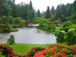 Seattle Japanese Garden Japanese Garden Seattle Japanese Garden Beautiful Gardens