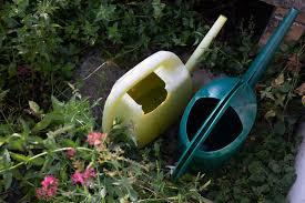 Trockenheit in der Schweiz nimmt zu – steigt jetzt das Risiko für einen Hitzesommer?