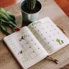 I thought it would be a good opportunity to learn a little more about cacti before launching into our amazing 17 feeds. May 2019 Bullet Journal Setup Coffee Prose And Pretty Clothes