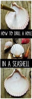 Scallop shell lights look for shells roughly the same size. 31 Diy Ideas To Make With Sea Shells