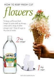 Just as it preserves your hairstyle, a spritz of even without the help of florist preservatives, you can enjoy your cut flowers for extended periods of time if you know how to treat them immediately after cutting, how to condition their water. Pin On Flowers