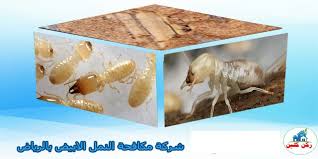 أرجل كنب