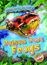 Poison Dart Frogs Animals Of The Rain Forest Blastoff