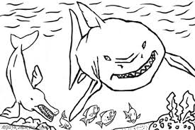 We did not find results for: Prehistoric Animal Coloring Pages Jack The Lizard Wonder World