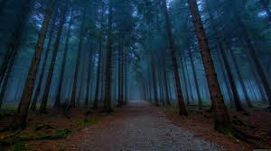 Nature Wallpaper Pack Forest Pictures Forest Background Mystical Forest