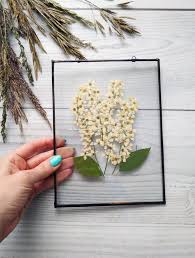 Pressed Flower Wall Art Pressed Flower Frame Bird Cherry Etsy Pressed Flowers Diy Pressed Flower Crafts Flower Frame