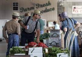 Pin On Meet The Mennonites