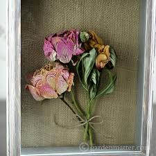 Read on for the best ways to preserve your bouquet and wedding flowers, from turning them into a paperweight to drying and framing them. Shadow Box Peonies A Great Way To Preserve Your Garden Flowers Hearth And Vine