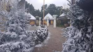 Последние твиты от beekse bergen (@beekse_bergen). Kerstboom Met Sneeuw Binnen En Buiten Op Locatie Polar Europe