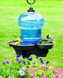 Avian retreat: Make your yard attractive to a variety of fine-feathered  visitors