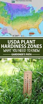 Usda Plant Hardiness Zones Have Changed What You Need To Know