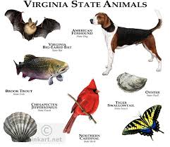 The State Animals Of Virginia Animals Animal Posters Animal Planet